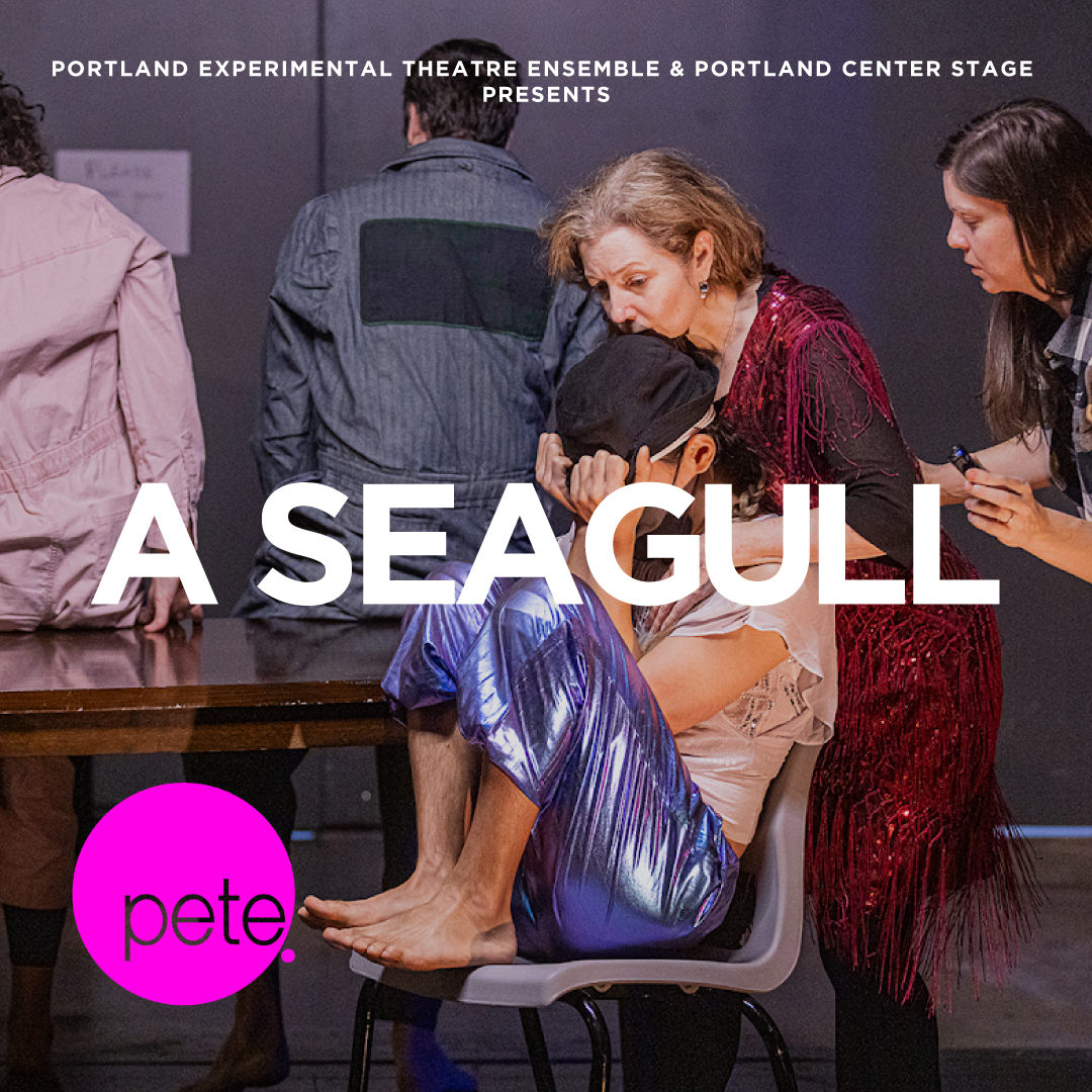 Preview image for PCS Presents: PETE's *a seagull*
