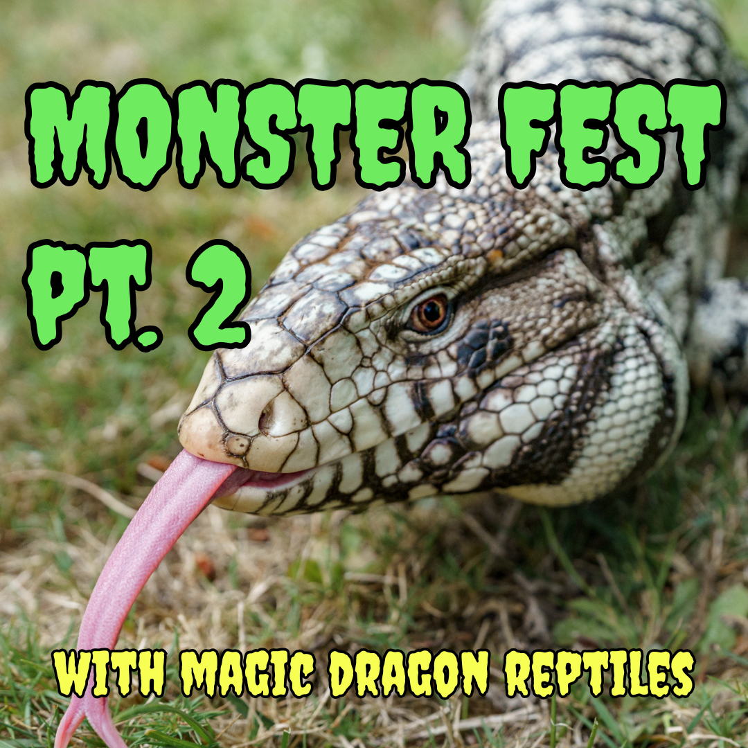 Preview image for Monster Fest Pt. 2: Costume Contest & Real Life Reptiles!!