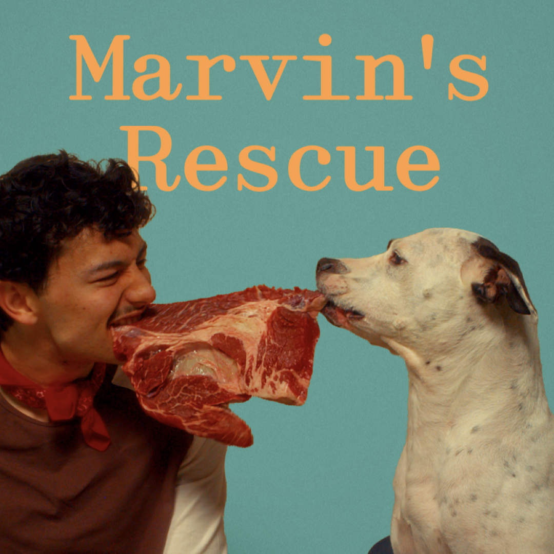 Preview image for Portland Playhouse Presents: MARVIN'S RESCUE