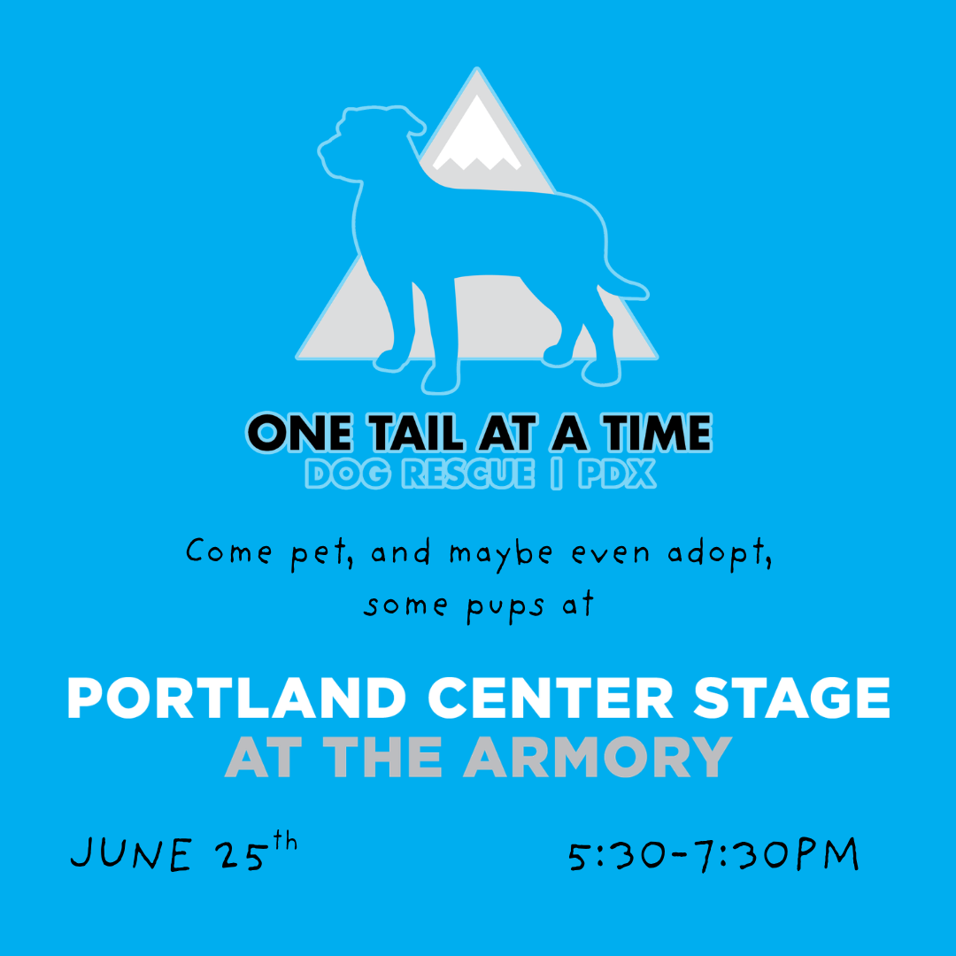 Preview image for Pre-Show Event: Pups Make it Home for Storm's Birthday! 